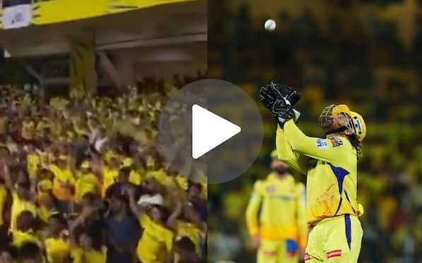 [Watch] Chepauk Erupts As MS Dhoni Takes A Calm Catch Off Jadeja's Surprise Rapid Delivery